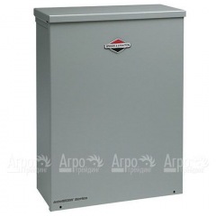 Блок автоматики Briggs&#38;Stratton 100A в Липецке