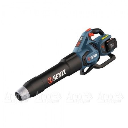 Воздуходувка аккумуляторная Senix BLAX2-M2-EU в Липецке