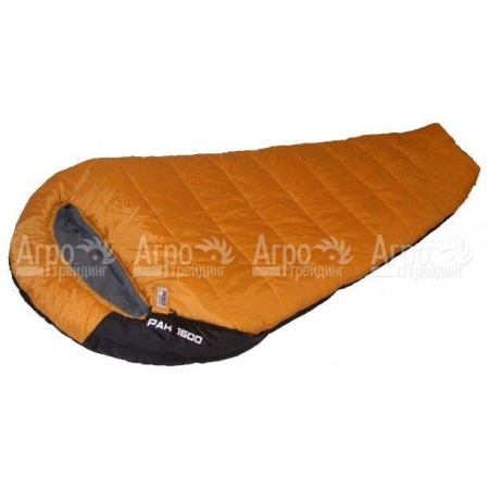 Спальный мешок High Peak Pak 1600 в Липецке