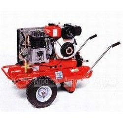 Компрессор дизельный Agri 55 Diesel в Липецке