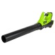 Воздуходувка аккумуляторная GreenWorks G40ABK4 в Липецке
