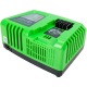 Быстрое зарядное устройство Greenworks G40UC5 в Липецке