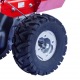 Бензиновая сенокосилка Eurosystems P70 Kohler в Липецке