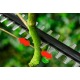 Высоторез аккумуляторный Bosch UniversalHedgePole 18 (без аккумулятора и зарядного устройства) в Липецке