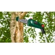 Высоторез аккумуляторный Bosch UniversalChainPole 18 в Липецке